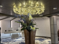 Sun Princess Guest Services picture