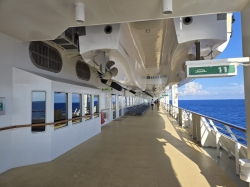 Jewel of the Seas Outside Promenade picture