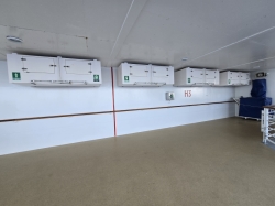 Jewel of the Seas Outside Promenade picture