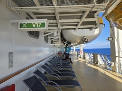 Jewel of the Seas Outside Promenade picture