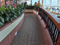 Jewel of the Seas Solarium picture