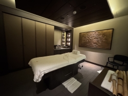 MSC World Europa MSC Aurea Spa picture