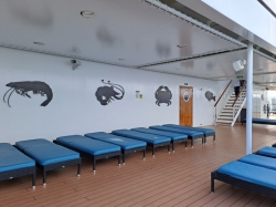 MSC Virtuosa Top 19 picture