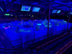 Freedom of the Seas Studio B picture