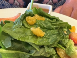 Volendam Rotterdam Dining Room picture