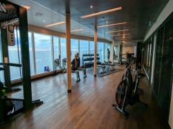 Discovery Princess Fitness Center picture