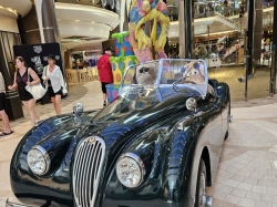 Royal Promenade and Shops picture Royal Promenade and Shops picture