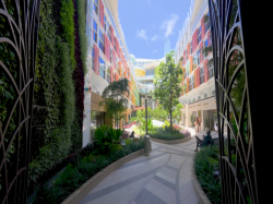 Star of the Seas Central Park picture