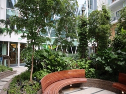 Utopia of the Seas Central Park picture