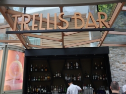 Trellis Bar picture Trellis Bar picture