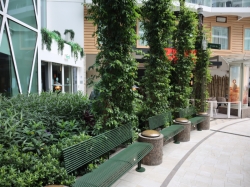 Utopia of the Seas Central Park picture