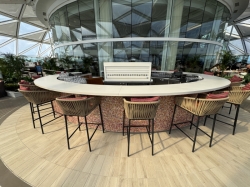 Utopia of the Seas Solarium picture