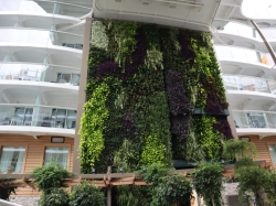 Utopia of the Seas Central Park picture