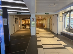 Bonsai Sushi picture Bonsai Sushi picture