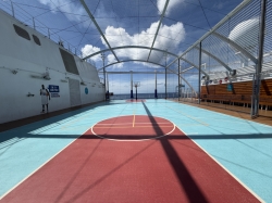 Sports Court picture Sports Court picture
