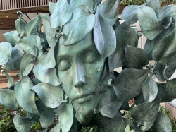 Star of the Seas Central Park picture