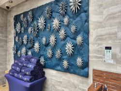 MSC Virtuosa MSC Yacht Club Sundeck picture