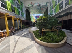 Star of the Seas Central Park picture