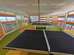 Star of the Seas Chill Island picture Uploaded in 2025 Photo courtesy of familyatsea. Star of the Seas Chill Island picture