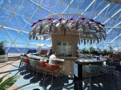 Star of the Seas Overlook Lounge picture