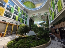 Star of the Seas Central Park picture