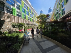 Star of the Seas Central Park picture