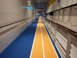 Star of the Seas Running Track picture Uploaded in 2025 Photo courtesy of familyatsea. Star of the Seas Running Track picture