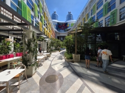 Star of the Seas Central Park picture