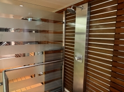 Celebrity Reflection Solarium picture Uploaded in 2025 Photo courtesy of Donald Palmesano. Celebrity Reflection Solarium picture
