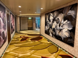 Relaxation Lounge picture Relaxation Lounge picture