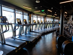 Brilliant Lady B-Complex picture