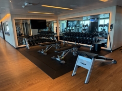Majestic Princess Fitness Center picture
