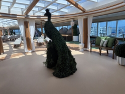 Majestic Princess Hollywood Conservatory picture