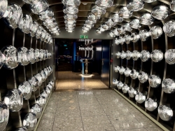 Resilient Lady Pink Agave picture