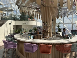 Star of the Seas Overlook Lounge picture