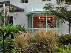 Bubbles picture Bubbles picture