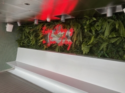 Sun Club picture Sun Club picture