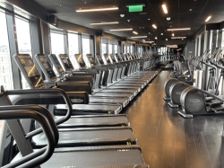 Brilliant Lady B-Complex picture