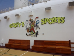 Goofys Sports Court picture Goofys Sports Court picture