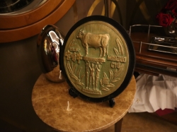 Disney Dream Remy picture