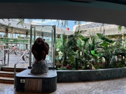 Jungle Bar and Pool picture Jungle Bar and Pool picture