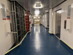 Majestic Princess Galley Tour picture