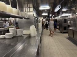 Majestic Princess Galley Tour picture