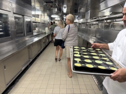 Majestic Princess Galley Tour picture