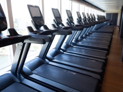 Majestic Princess Fitness Center picture