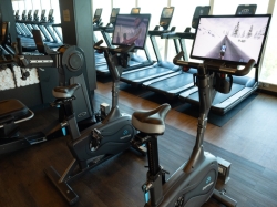 Majestic Princess Fitness Center picture