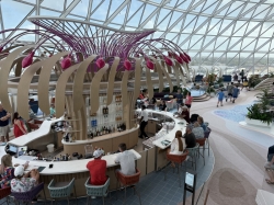 Star of the Seas Overlook Lounge picture