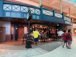 Icon of the Seas Point and Feather picture