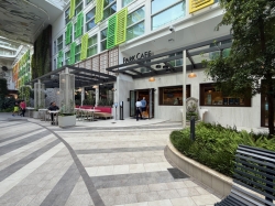 Icon of the Seas Park Cafe picture