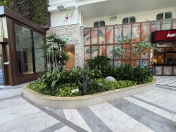 Icon of the Seas Central Park picture